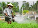Great Laos And Vietnam 15 Days